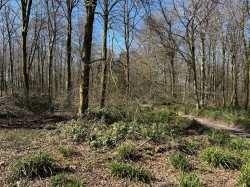 Images for Cranmore, Nr Shepton Mallet