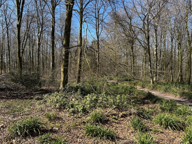 Images for Cranmore, Nr Shepton Mallet