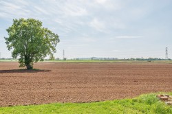 Images for Wookey, Wells, Somerset