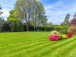 Images for Shappen Hill Lane, Burley, Ringwood, BH24