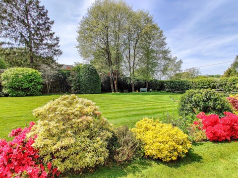 Click the photo for more details of Shappen Hill Lane, Burley, Ringwood, BH24