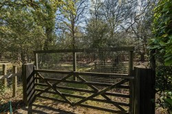 Images for Shappen Hill Lane, Burley, Ringwood, BH24