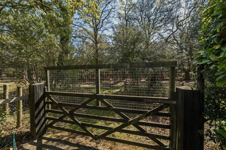 Images for Shappen Hill Lane, Burley, Ringwood, BH24