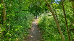 Images for Coleford, Radstock, Somerset