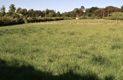Images for Drayton, Langport, Somerset