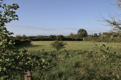 Images for Drayton, Langport, Somerset