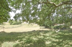 Images for Brent Knoll, Highbridge, Somerset