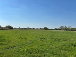 Images for Broadmead Lane, Edington, Somerset