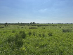 Images for Heath House, Wedmore, Somerset