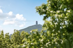 Images for West Pennard, Somerset
