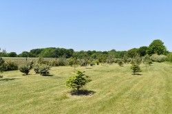 Images for Lymore Valley, Milford on Sea, Lymington, SO41