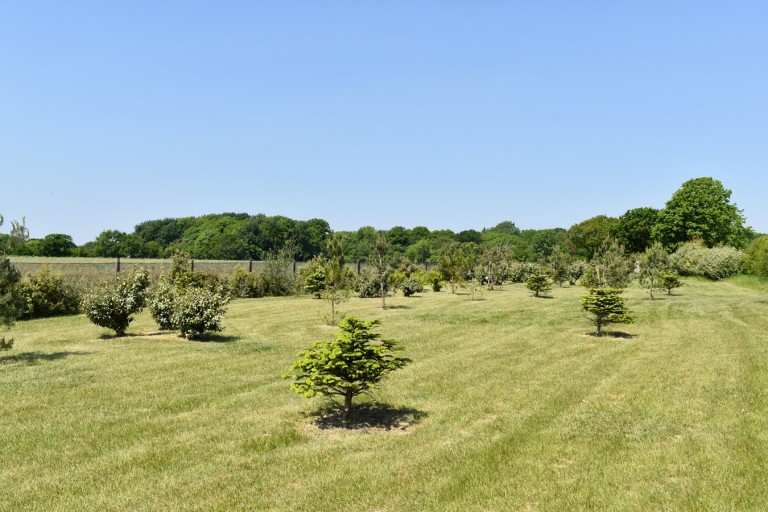 Images for Lymore Valley, Milford on Sea, Lymington, SO41