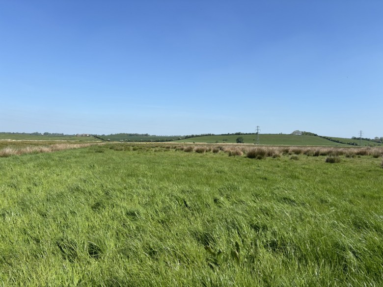Click the photo for more details of Lot A - Cossington Right Drove, Chedzoy, Somerset