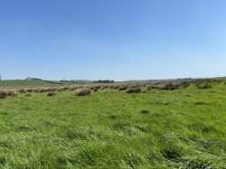 Images for Lot A - Cossington Right Drove, Chedzoy, Somerset