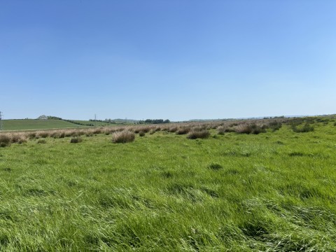 Click the photo for more details of Lot A - Cossington Right Drove, Chedzoy, Somerset