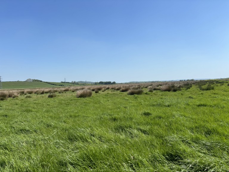 Images for Lot A - Cossington Right Drove, Chedzoy, Somerset