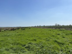 Images for Lot A - Cossington Right Drove, Chedzoy, Somerset