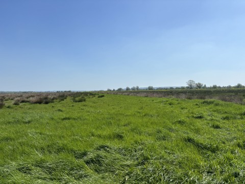 Click the photo for more details of Lot A - Cossington Right Drove, Chedzoy, Somerset
