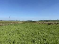 Images for Lot A - Cossington Right Drove, Chedzoy, Somerset
