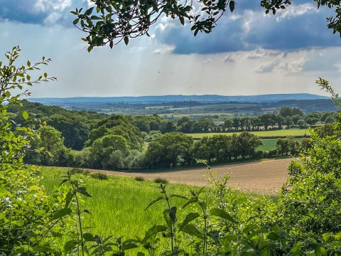 Click the photo for more details of Standard Hill, NINFIELD