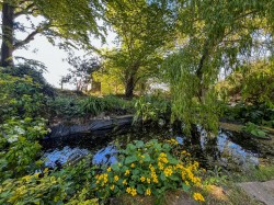 Images for Standard Hill, NINFIELD