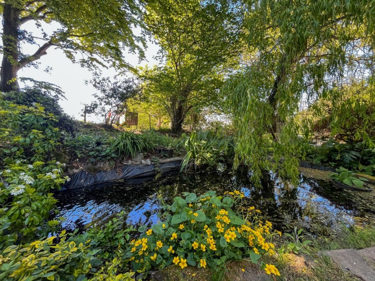 Images for Standard Hill, NINFIELD