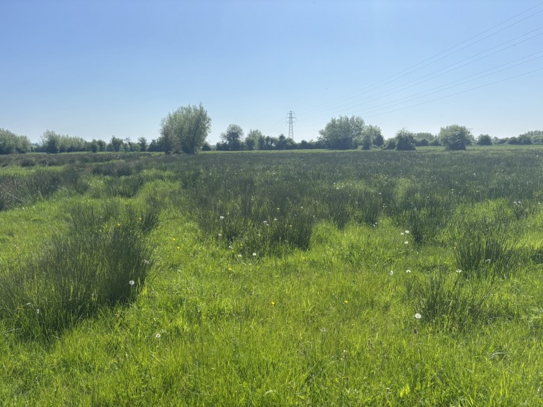 Click the photo for more details of Middle Drove, Westonzoyland, Somerset