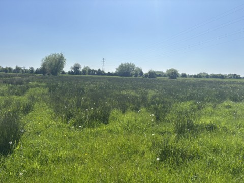 Click the photo for more details of Middle Drove, Westonzoyland, Somerset
