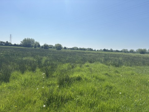 Click the photo for more details of Middle Drove, Westonzoyland, Somerset
