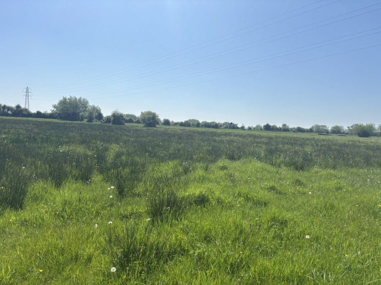 Images for Middle Drove, Westonzoyland, Somerset