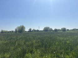 Images for Middle Drove, Westonzoyland, Somerset