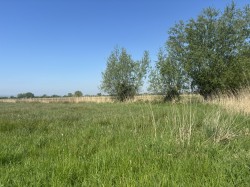 Images for Langmead Drove, Middlezoy, Somerset
