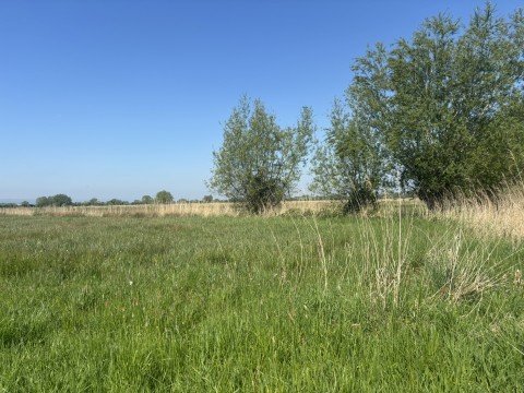 Click the photo for more details of Langmead Drove, Middlezoy, Somerset