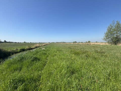 Click the photo for more details of Langmead Drove, Middlezoy, Somerset
