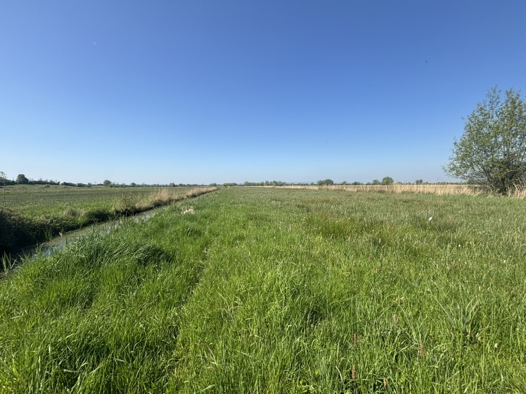 Images for Langmead Drove, Middlezoy, Somerset