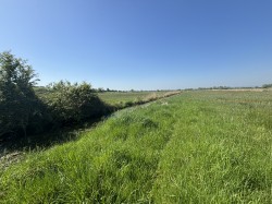 Images for Langmead Drove, Middlezoy, Somerset
