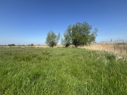 Images for Langmead Drove, Middlezoy, Somerset