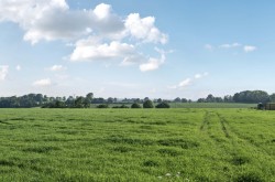 Images for Maiden Bradley, Wiltshire