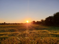 Images for Maiden Bradley, Wiltshire