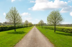 Images for Green Ore, Wells, Somerset