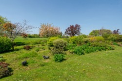 Images for Green Ore, Wells, Somerset
