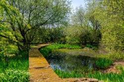 Images for Green Ore, Wells, Somerset