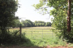 Images for Punnetts Town, Heathfield, East Sussex