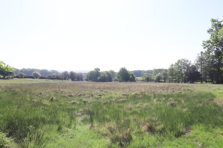 Images for Punnetts Town, Heathfield, East Sussex
