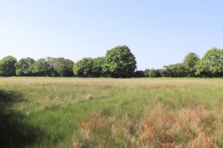Images for Punnetts Town, Heathfield, East Sussex