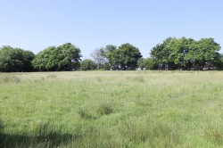 Images for Punnetts Town, Heathfield, East Sussex