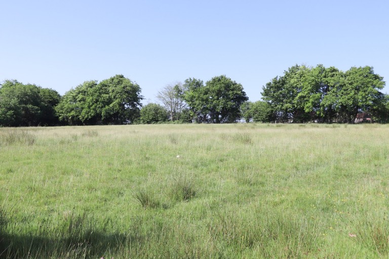 Images for Punnetts Town, Heathfield, East Sussex