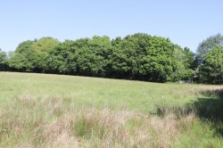 Images for Punnetts Town, Heathfield, East Sussex