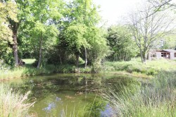 Images for Punnetts Town, Heathfield, East Sussex