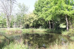 Images for Punnetts Town, Heathfield, East Sussex